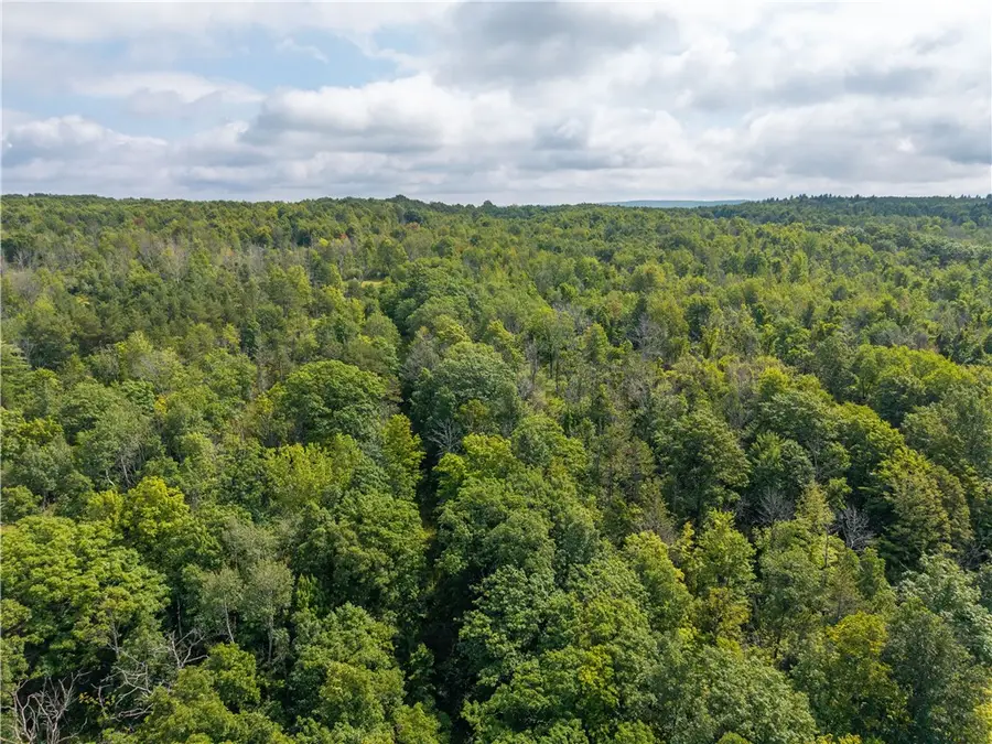 Old Bald Hill Road, Springwater, NY 14560 - #3
