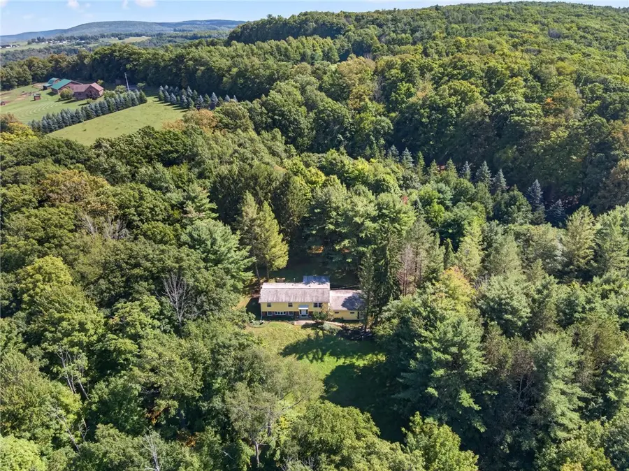 169 Stark Road, Newfield, NY 14867 - #2