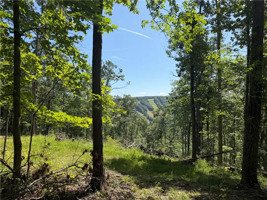 WP01 Rt-70, Swain, NY 14884 - #2
