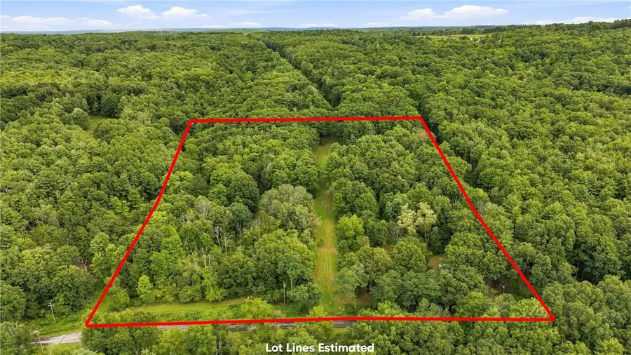 4862 Decamp Road, Dundee, NY 14837 - #2