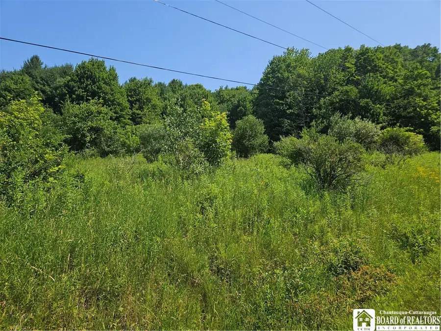 0 Bozard Hill Road, Great Valley, NY 14741 - #3