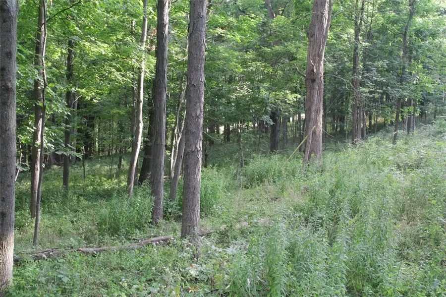 0 W Enfield Center Road, Ithaca, NY 14850 - #2