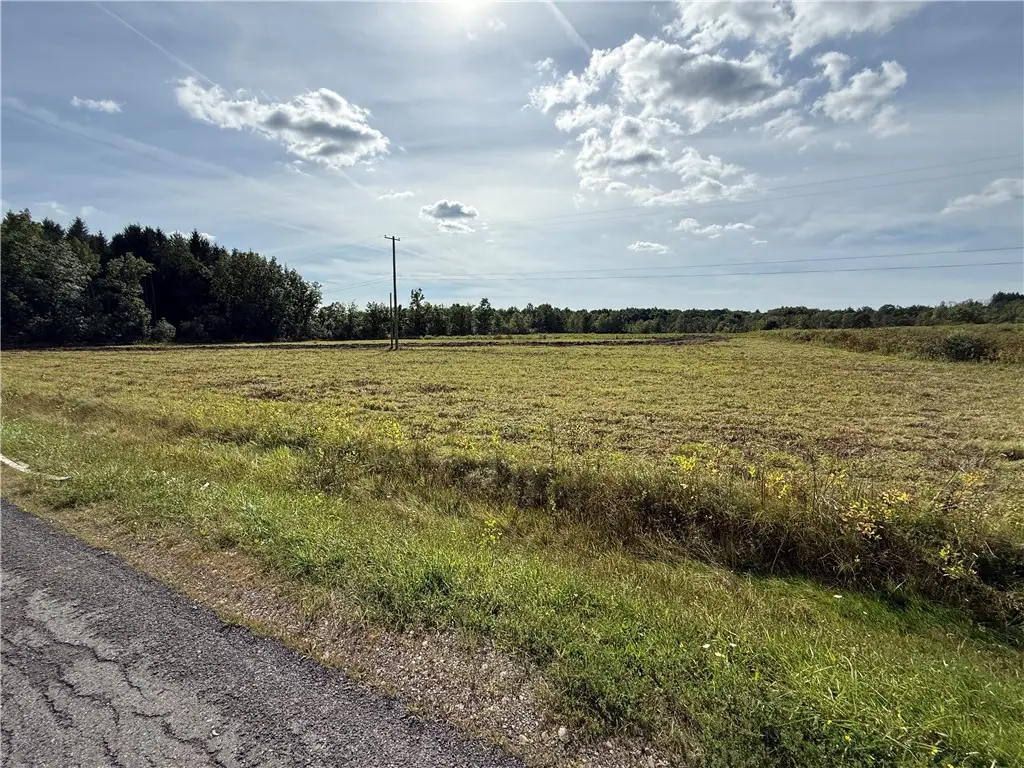 Caswell Road, Freeville, NY 13068 - #1