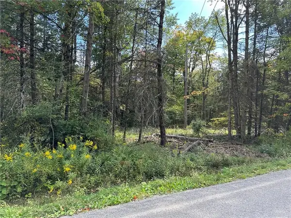 Lot 7 Mcandrews Road, Alfred, NY 14806