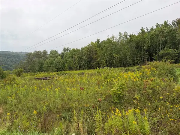 Adams Road, Harford, NY 13784