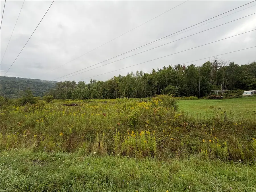 Adams Road, Harford, NY 13784 - #2