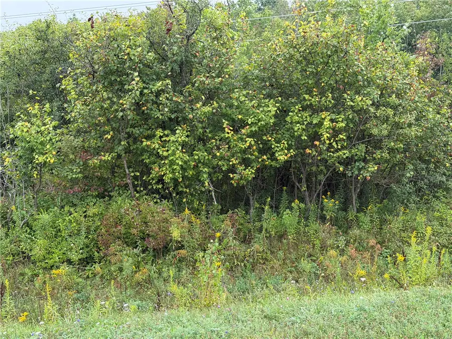 Adams Road, Harford, NY 13784 - #3