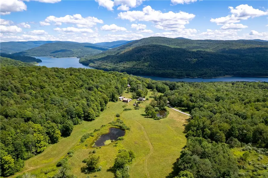 1563 Upper Perch Lake Road, Andes, NY 13731 - #3