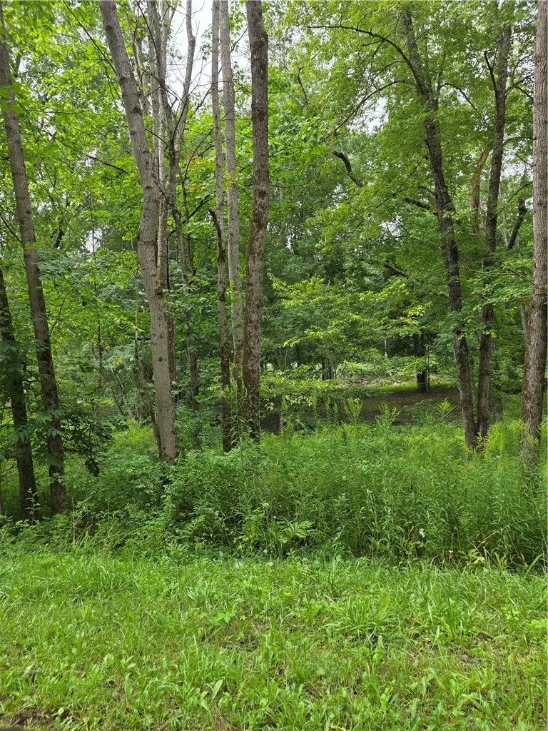 Duffytown Road, Eldred, PA 16731 - #1