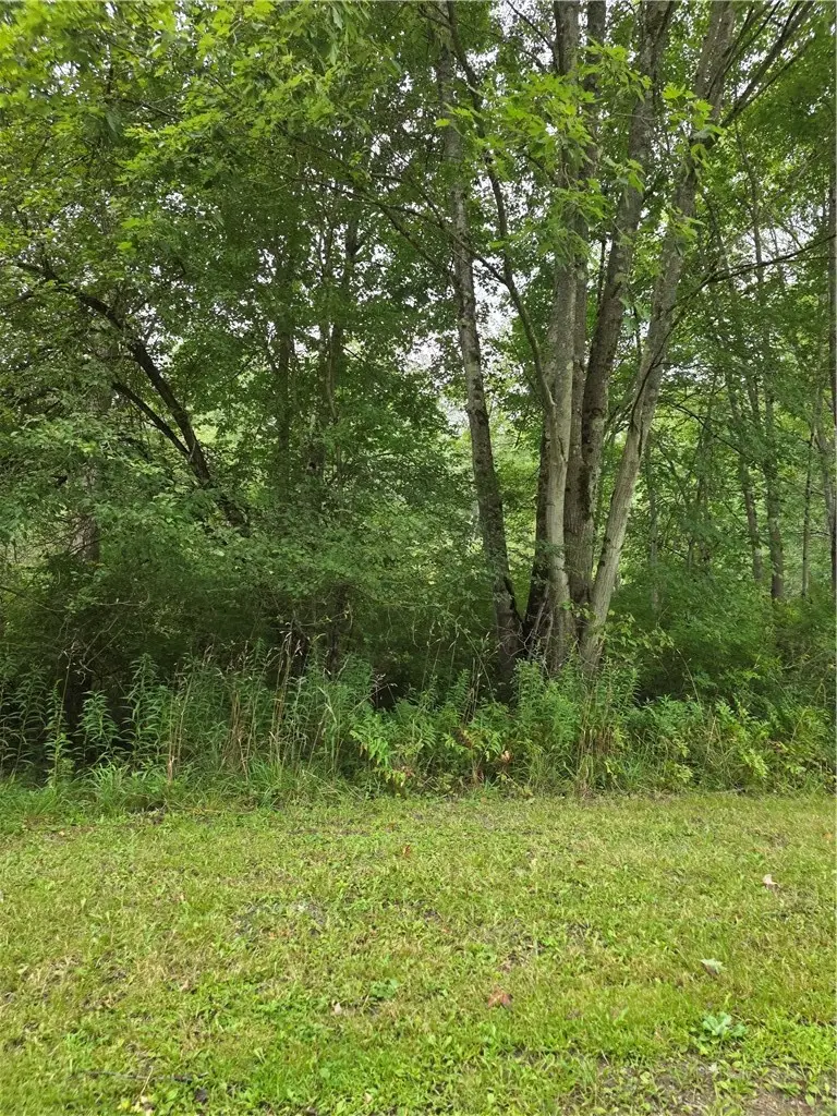 Duffytown Road, Eldred, PA 16731 - #2