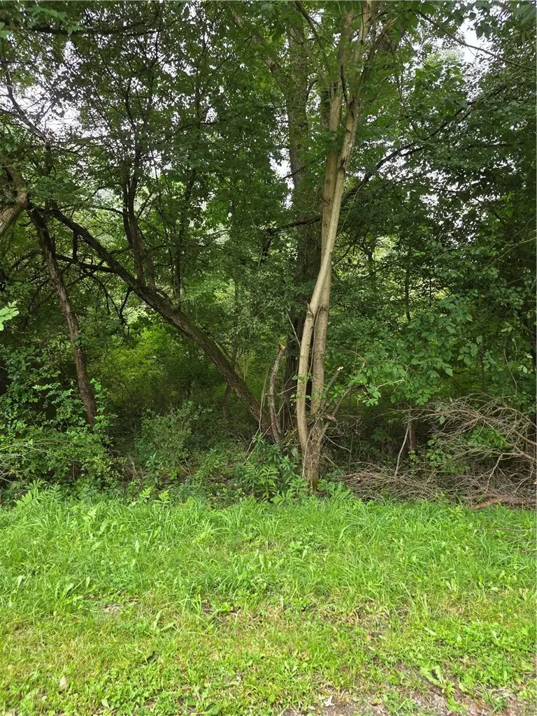 Duffytown Road, Eldred, PA 16731 - #3