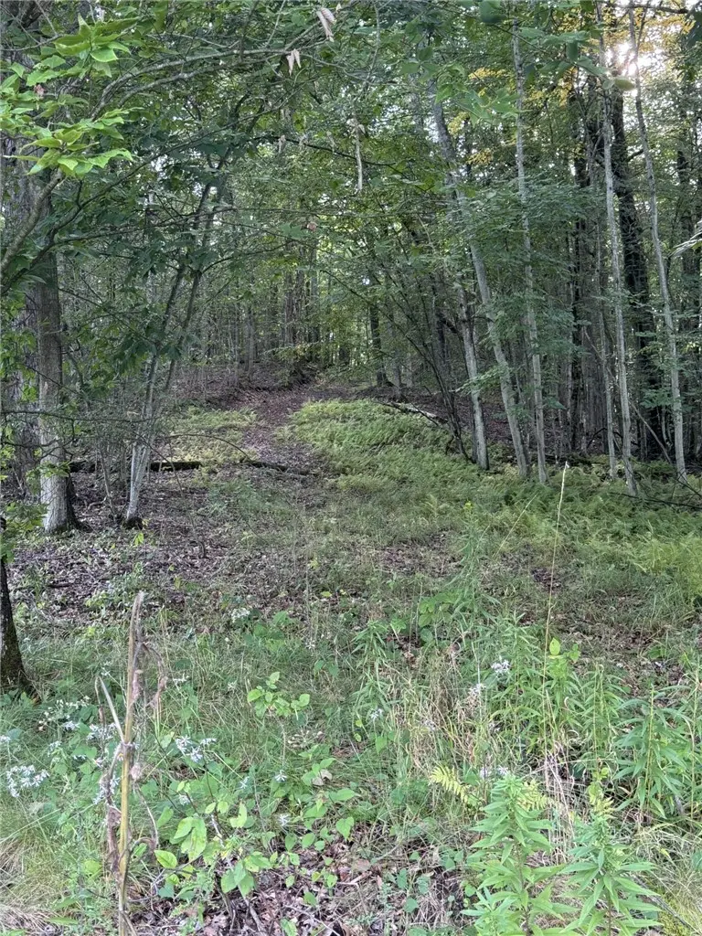 Rt. 346, Rew, PA 16744 - #1