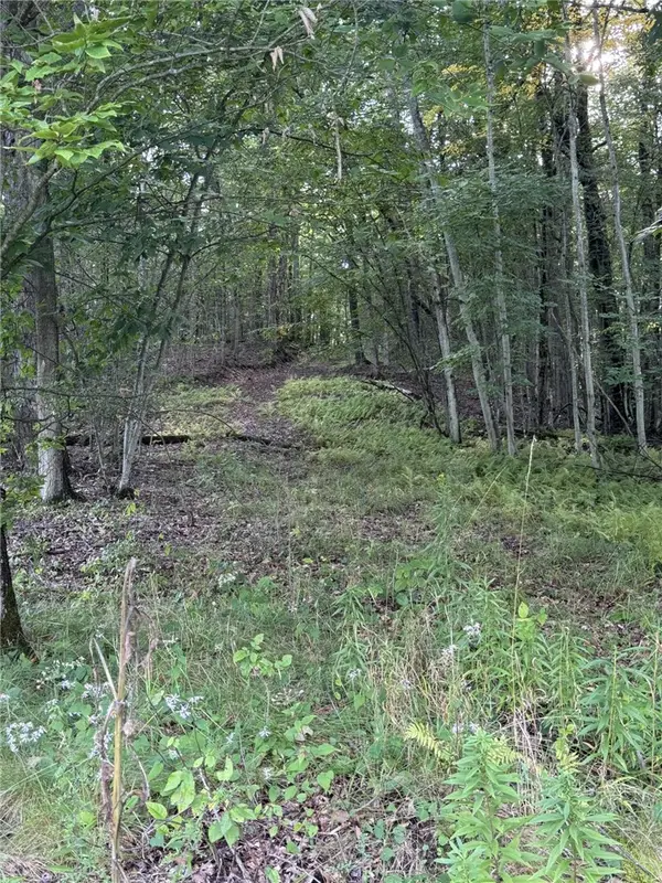 Rt. 346, Rew, PA 16744