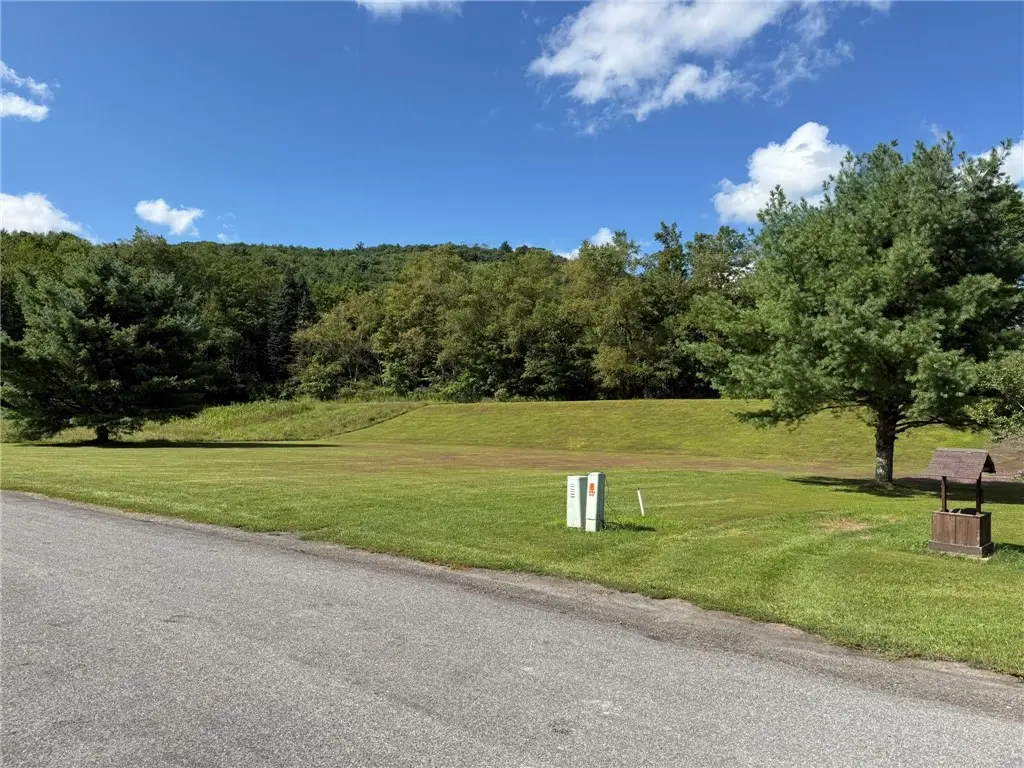 Lot#4 Colonial Drive, Roxbury, NY 12474 - #1