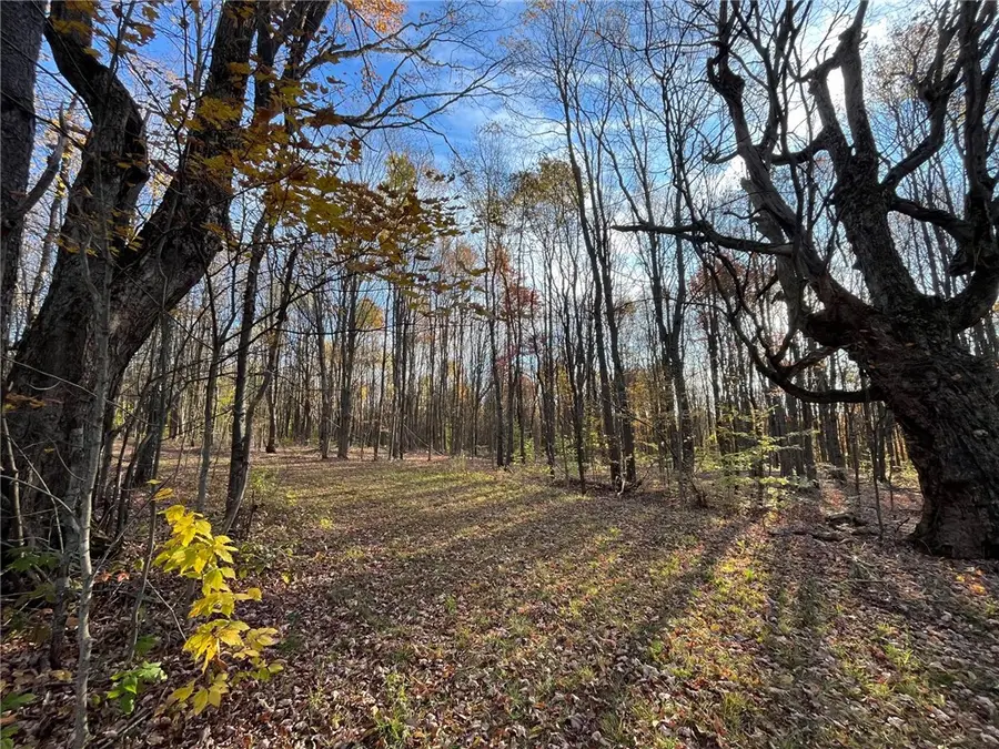 Nys Route 98, Franklinville, NY 14737 - #2