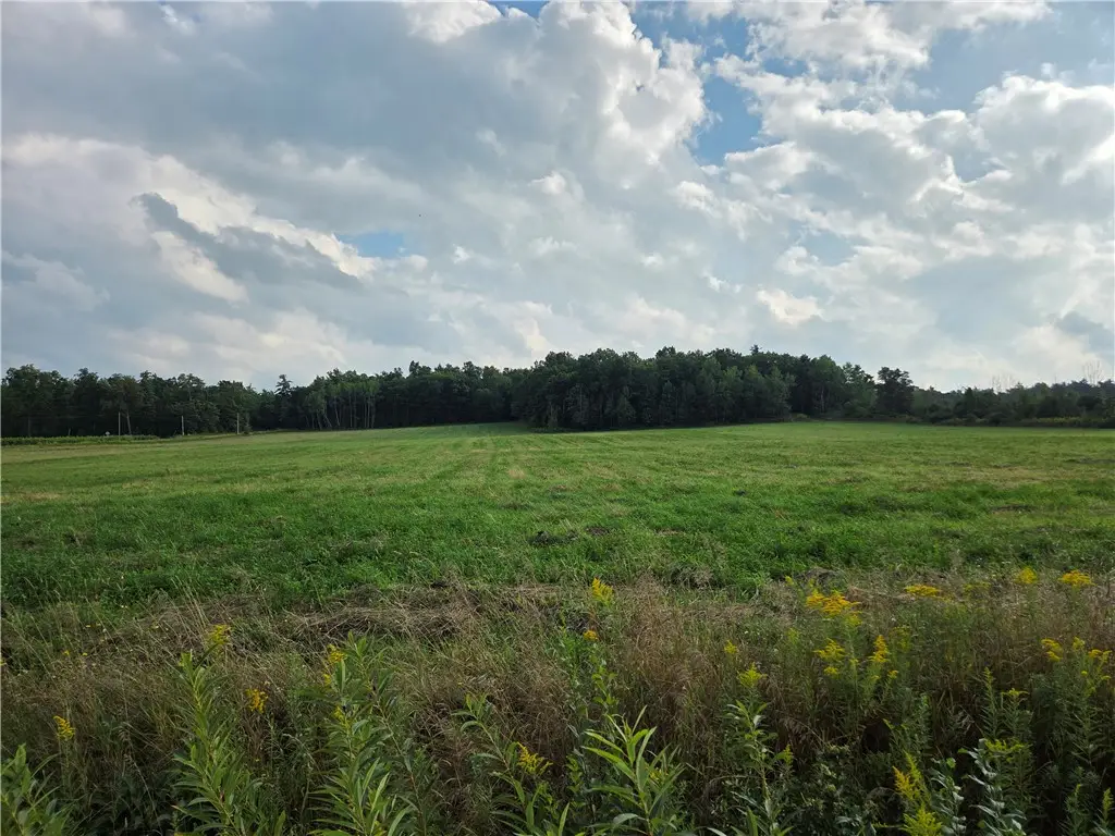 Ford Road, Pulteney, NY 14874 - #1