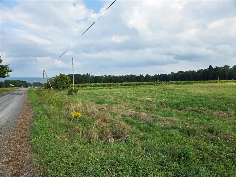 Ford Road, Pulteney, NY 14874 - #3