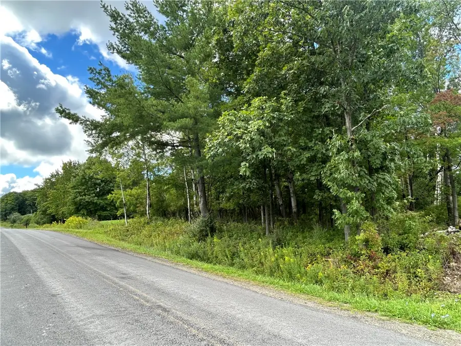 0 Pre-emption Road, Watkins Glen, NY 14891 - #2