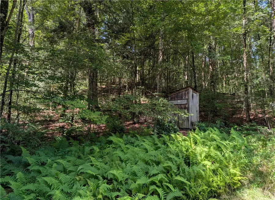 164 Bailey Avenue, Smethport, PA 16749 - #3