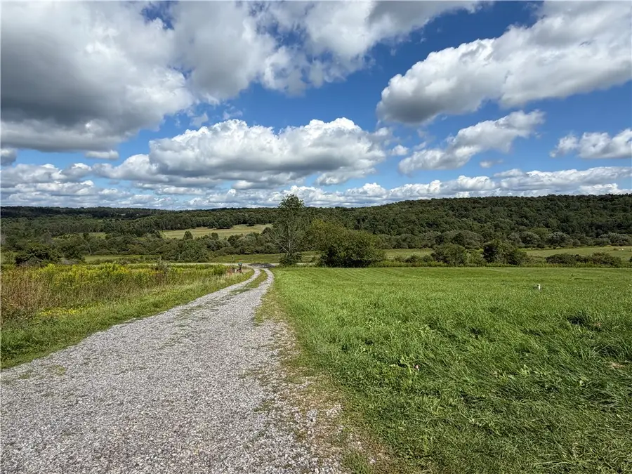 6795 Abbott Road, Franklinville, NY 14737 - #3