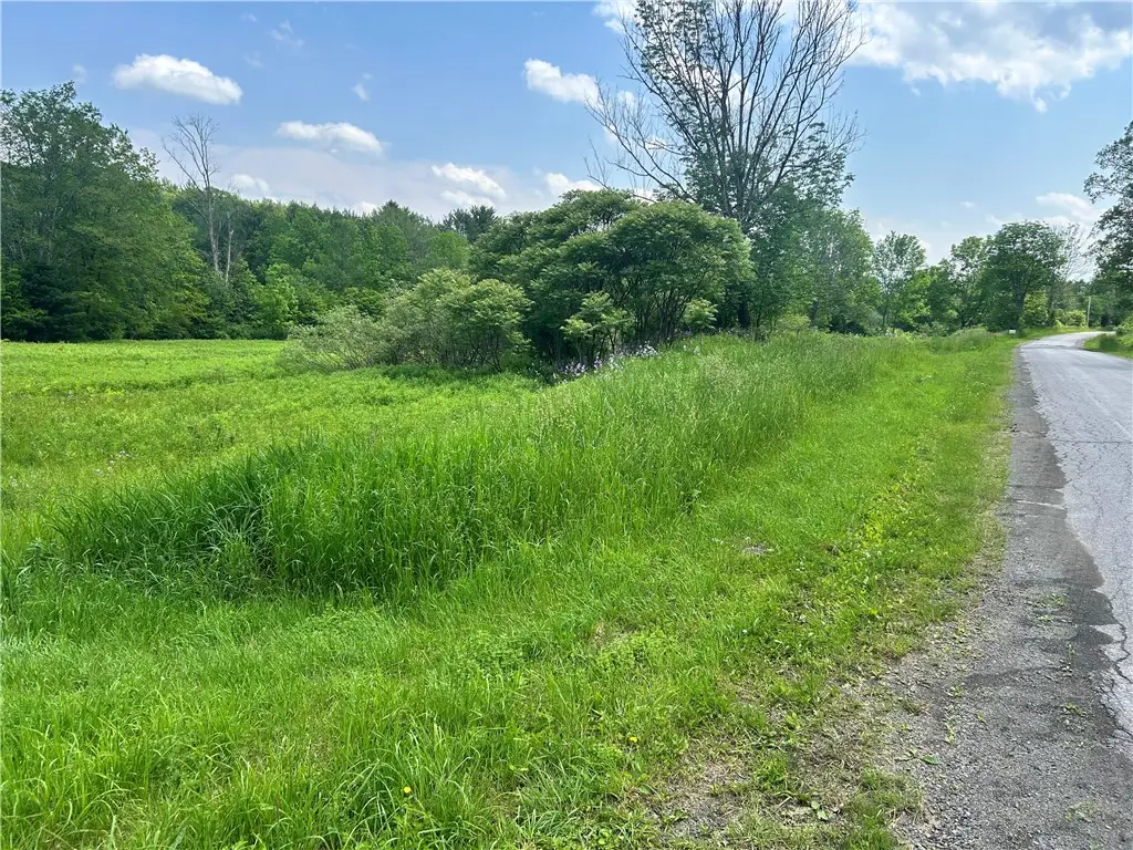 00 Oregon Road, Gilbertsville, NY 13776 - #1