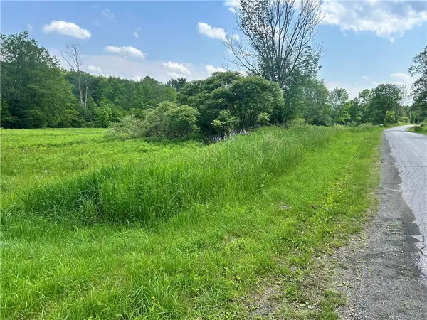 00 Oregon Road, Gilbertsville, NY 13776