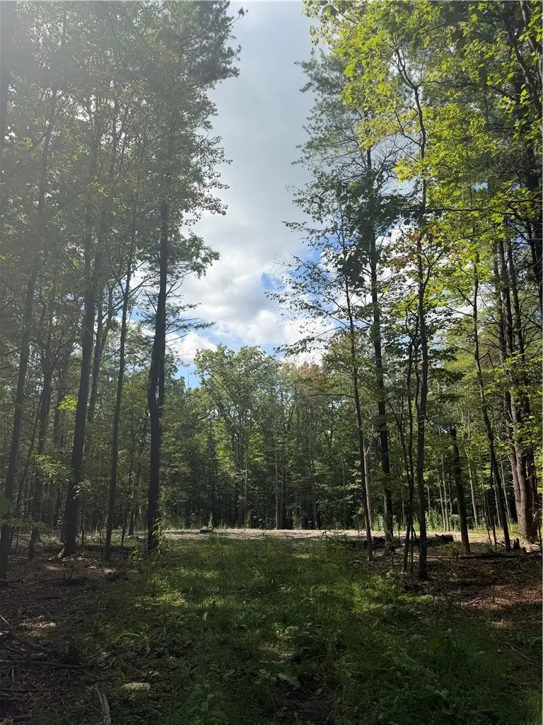 000/Lot 6 Prospect Ridge, Big Flats, NY 14814 - #3