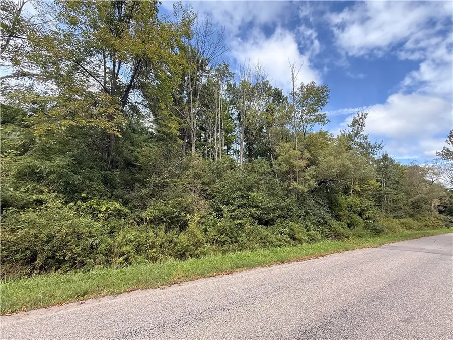 Poags Hole Road, Dansville, NY 14437 - #2