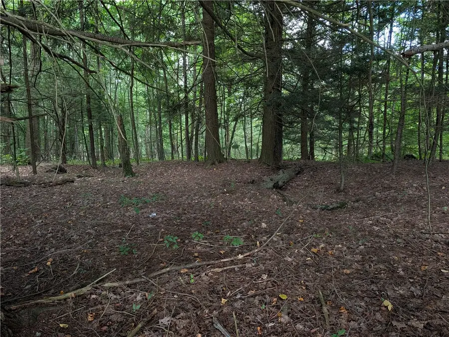 Jennison Rd, Pittsfield, NY 13411 - #3