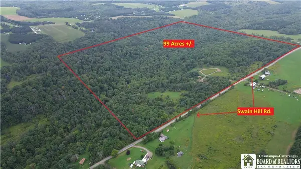 Swain Hill Road, Andover, NY 14806