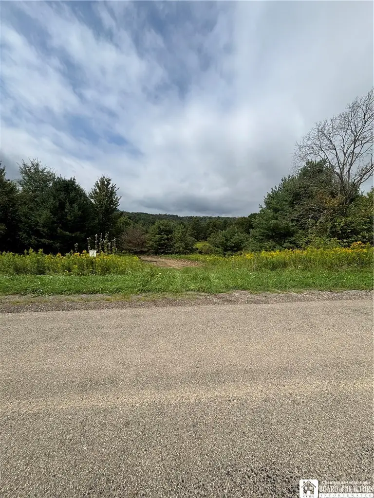 Swain Hill Road, Andover, NY 14806 - #2