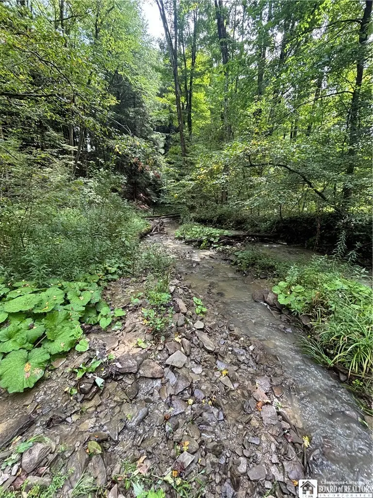 Swain Hill Road, Andover, NY 14806 - #3