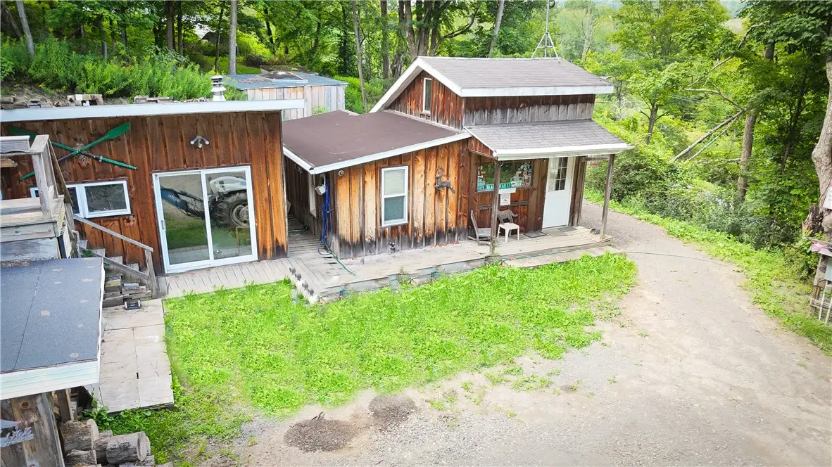 234 W Back West Creek Road, Candor, NY 13743 - #1