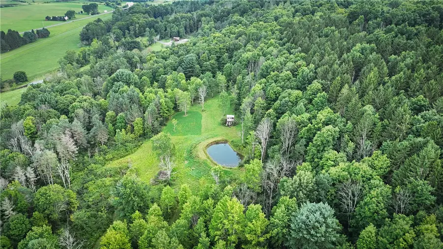 234 W Back West Creek Road, Candor, NY 13743 - #2