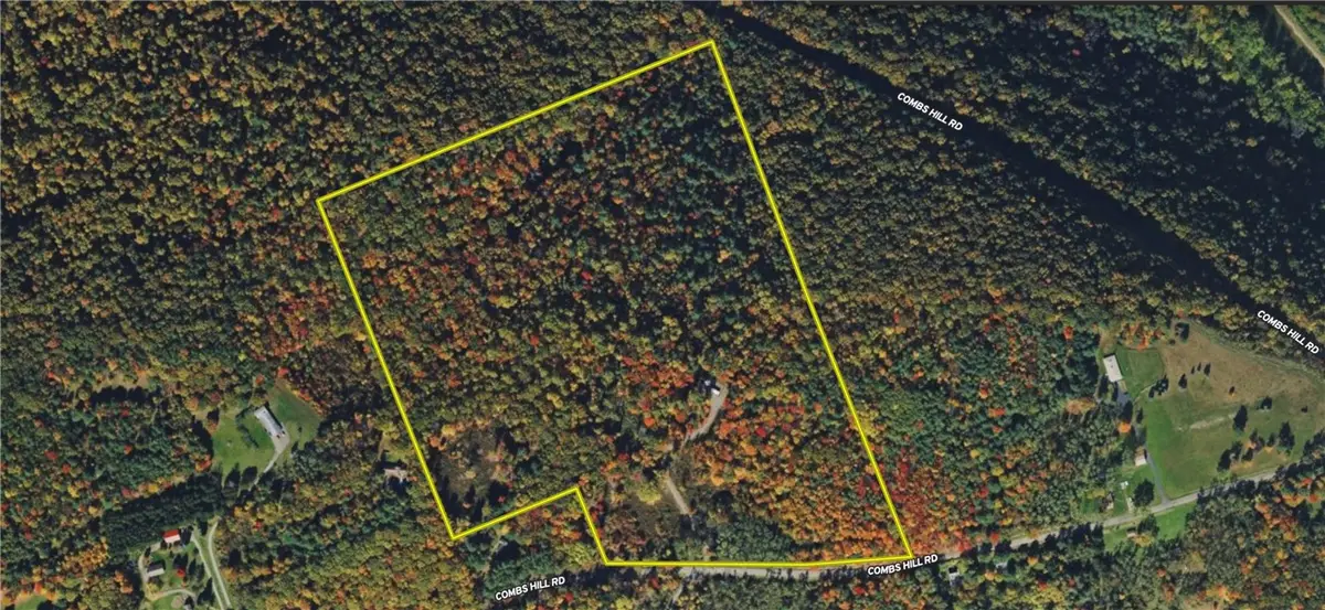 Combs Hill Road, Pine City, NY 14871 - #1