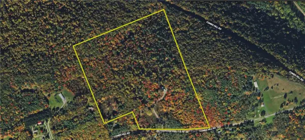 Combs Hill Road, Pine City, NY 14871