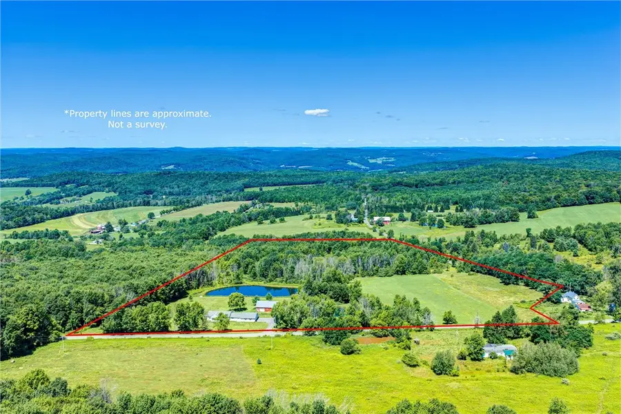 1593 Butternut Road, Unadilla, NY 13849 - #3
