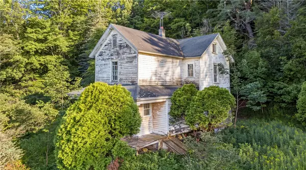 775 Red Kill Road, Roxbury, NY 12430