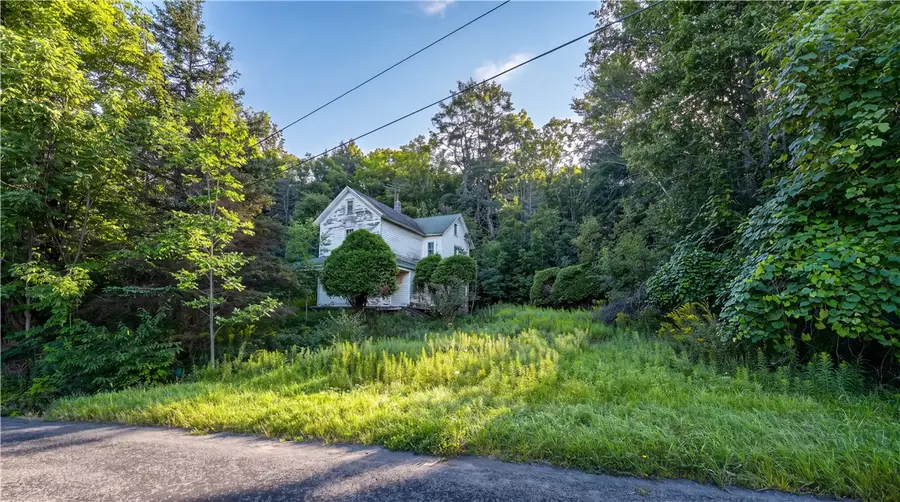 775 Red Kill Road, Fleischmanns, NY 12430 - #3