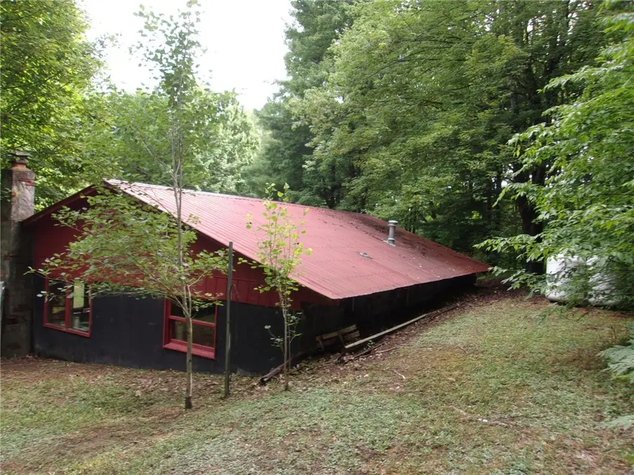 177 Tubbs Hill Road, Candor, NY 13743 - #2