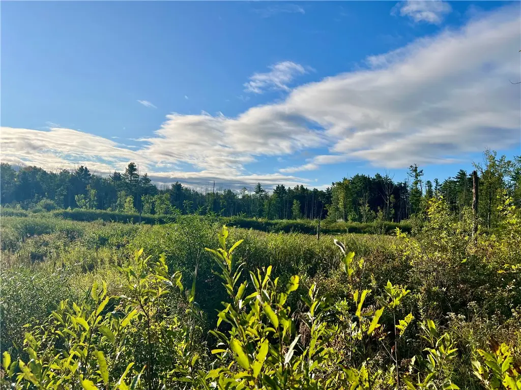 Neimi Road, Freeville, NY 13068 - #1