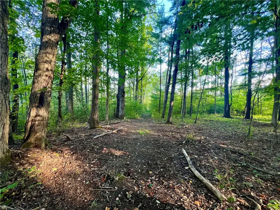 Neimi Road, Freeville, NY 13068 - #3
