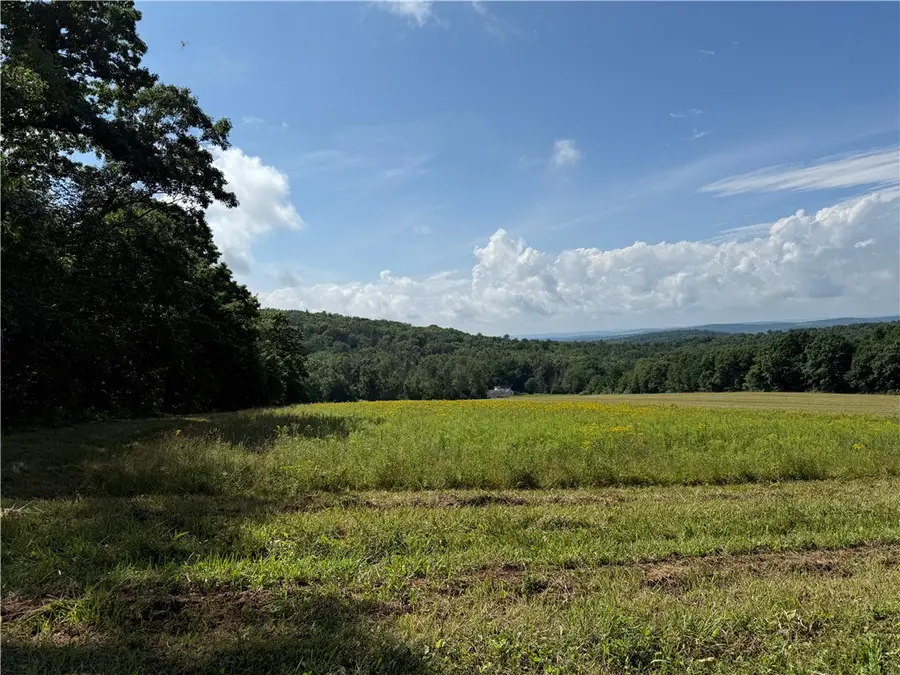 201 Oak Hill Road, Lowman, NY 14861 - #3