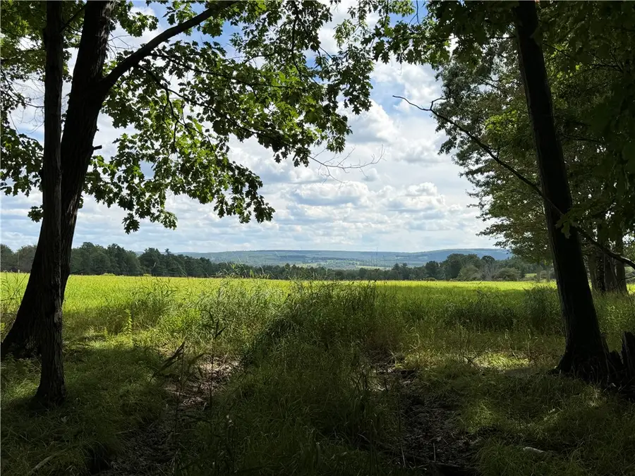 VL Barney Road N, Fillmore, NY 14735 - #2