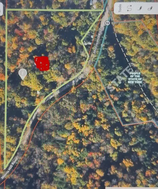 Morris Hill Road, Millport, NY 14864