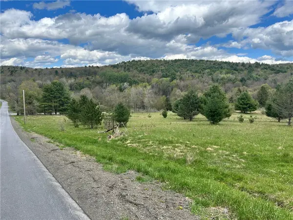 Mary Brown Hill Road, Laurens, NY 13796