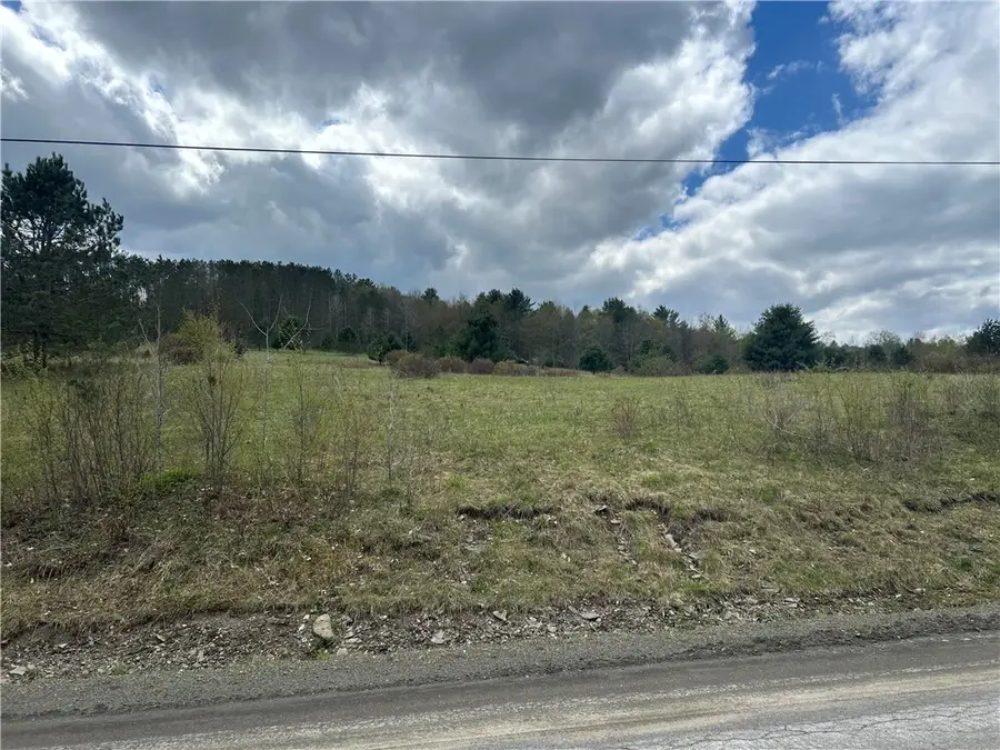 Mary Brown Hill Road, Laurens, NY 13796 - #2