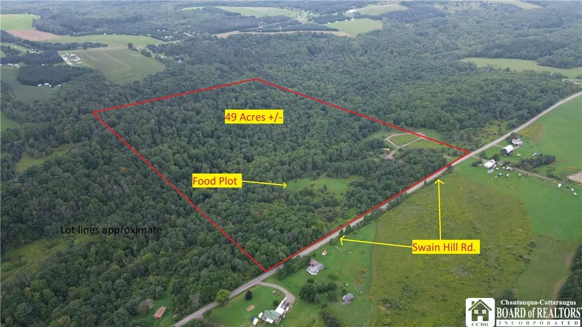VL#2 Swain Hill Road, Andover, NY 14806 - #1