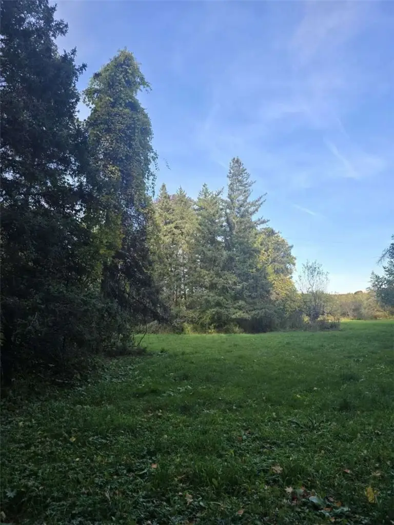 218 Chestnut Ridge Road, Cherry Valley, NY 13320 - #2