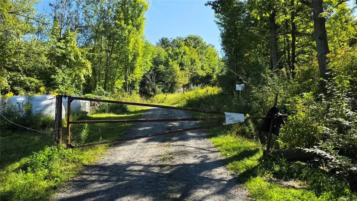 Black Ash Road, Woodhull, NY 14898 - #1